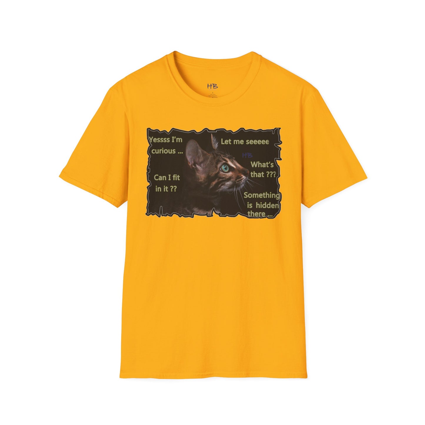 Kitten curiosity and care free