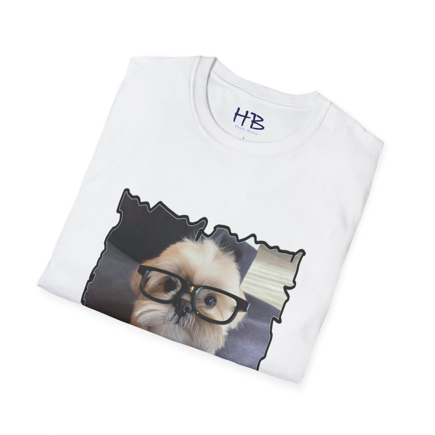 Bichon Maltese glasses according to his scrutiny