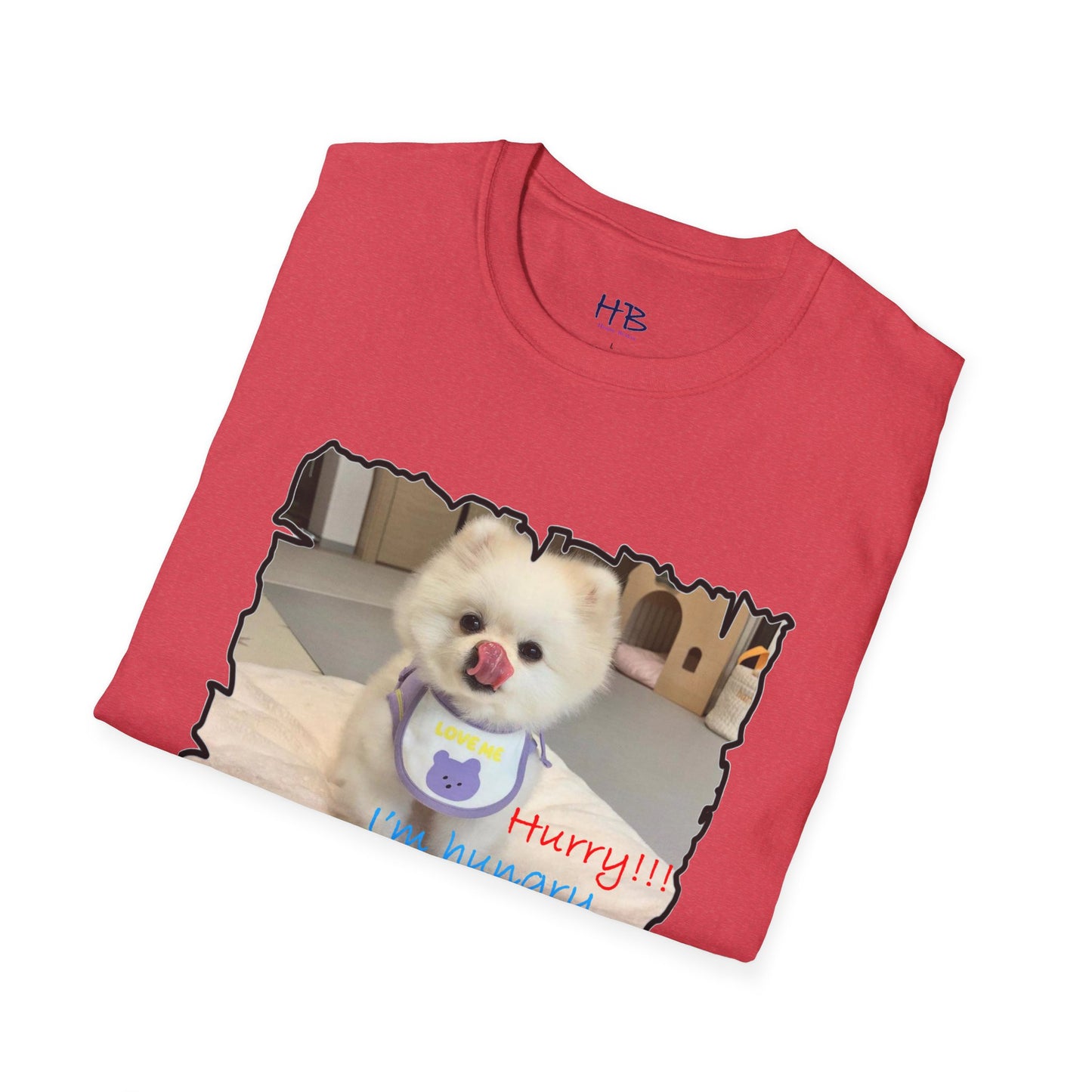 Bichon Maltese "Hurry, I'm hungry!!!"