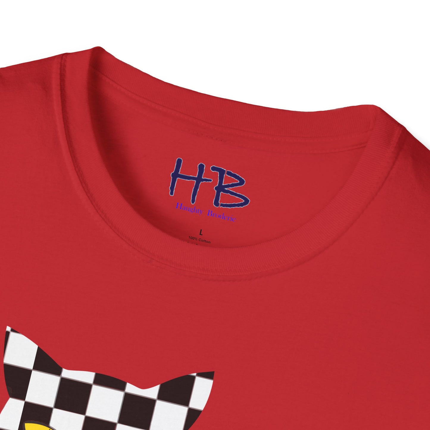 Unconventional Elegance: The Checkered Cat