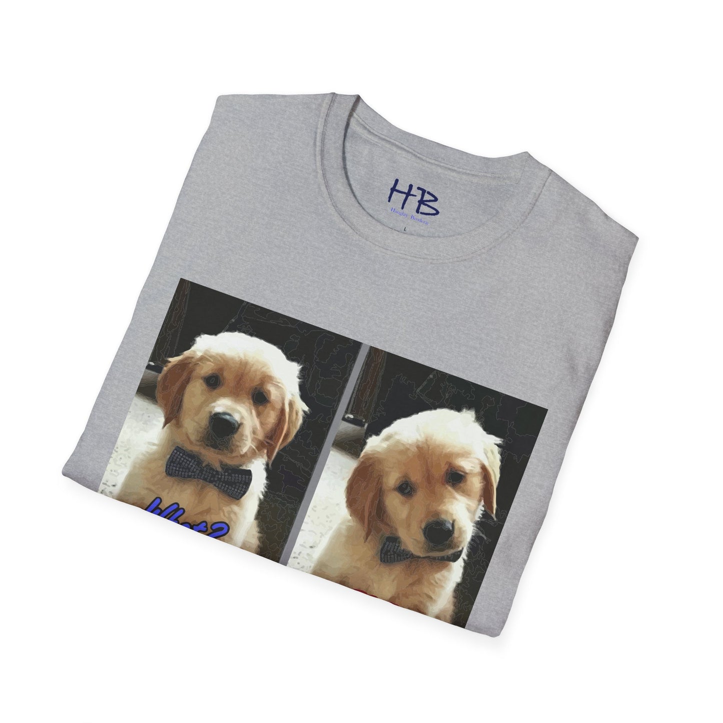 Labbie puppy asking "FOR REAL??????"