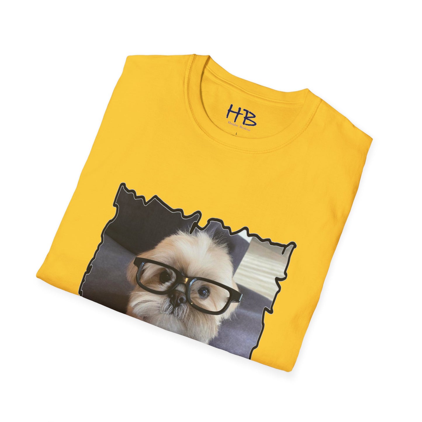 Bichon Maltese glasses according to his scrutiny