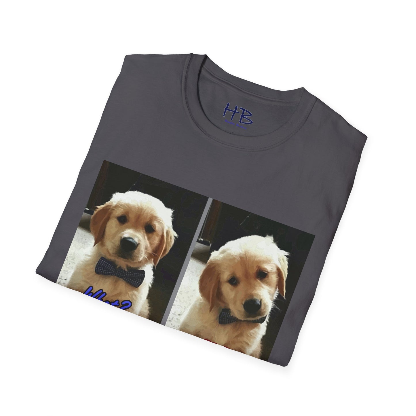 Labbie puppy asking "FOR REAL??????"