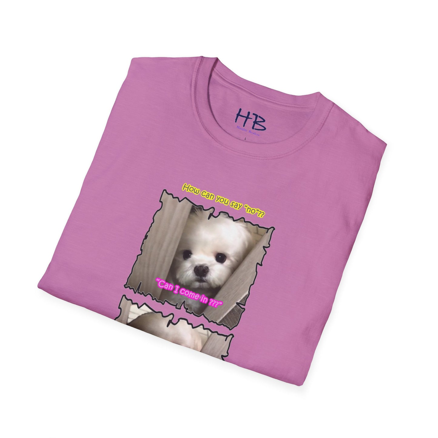 Cutest white Bichon Maltese wanting to play