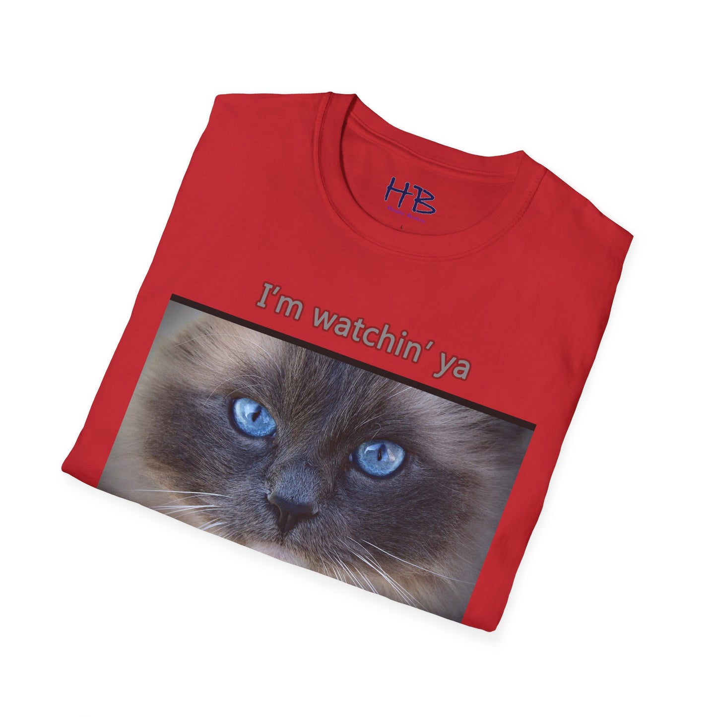 Cat with mesmerizing blue eyes "I'm watchin' ya"