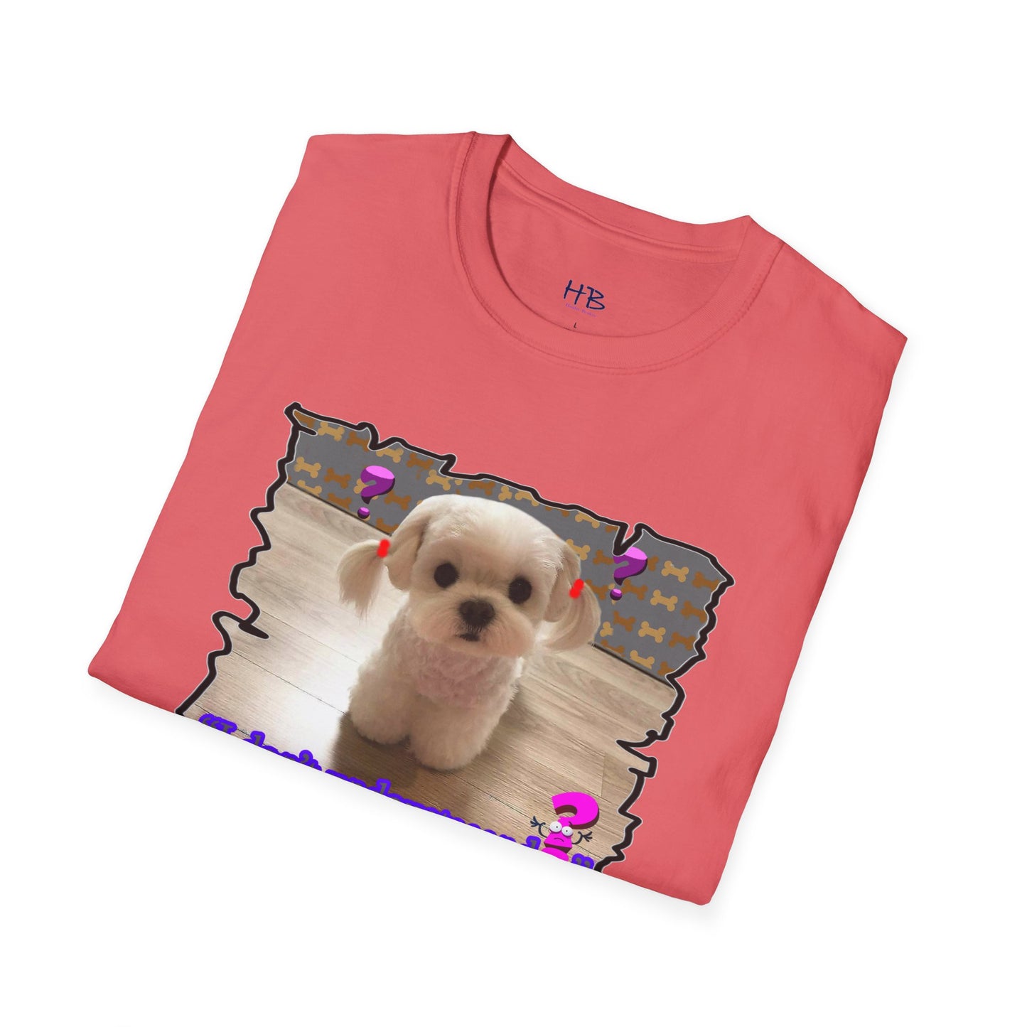 Baby Bichon Maltese with cluelessness innocent look "I don't undoustaaaand"