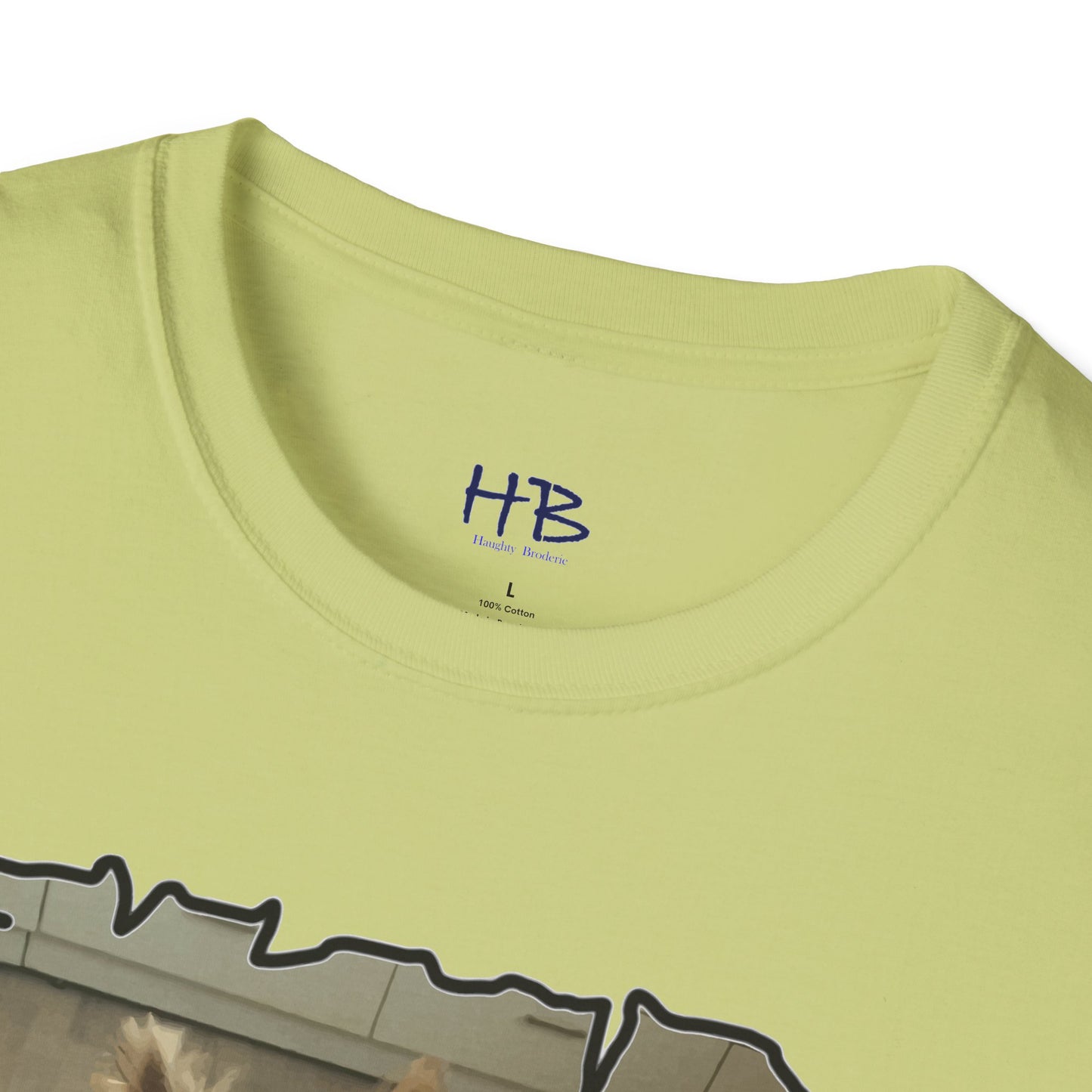 Corail the Yorkshire Toy little baby