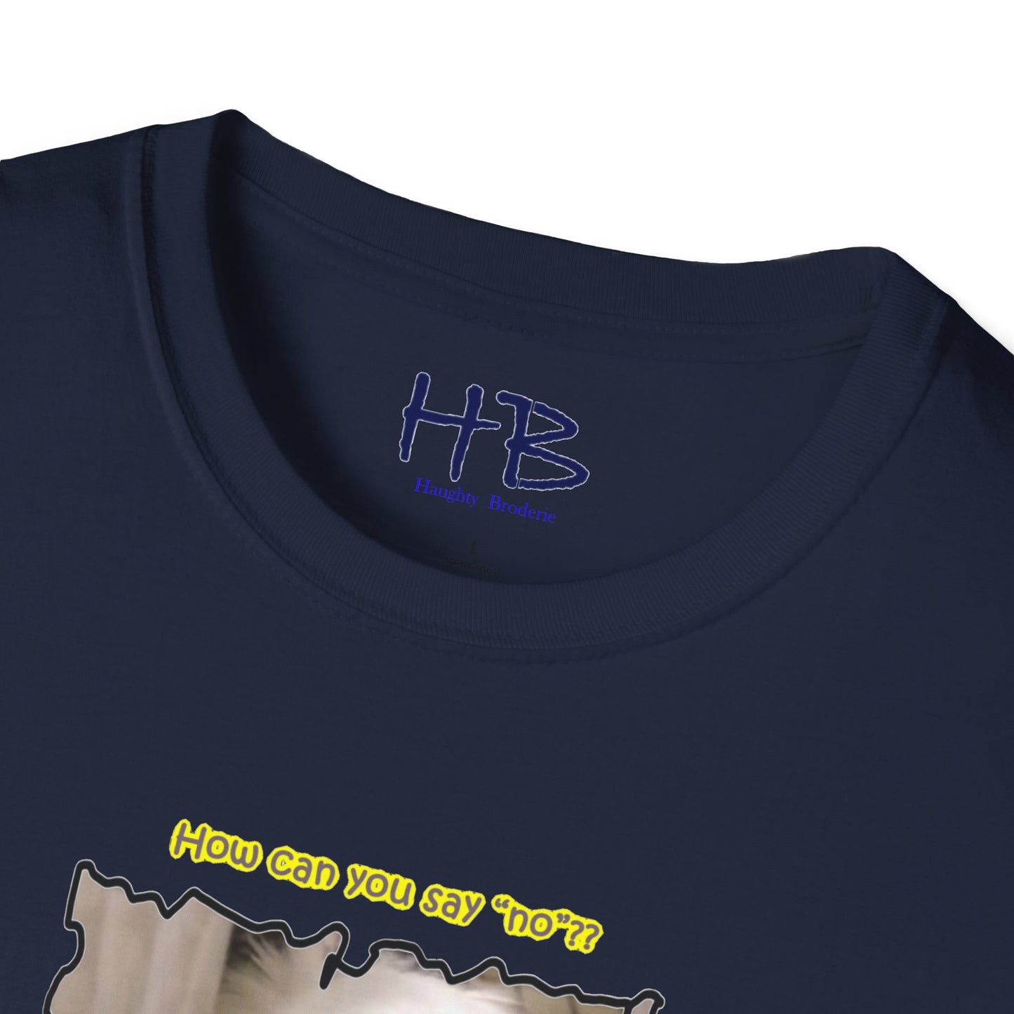 Cutest white Bichon Maltese wanting to play