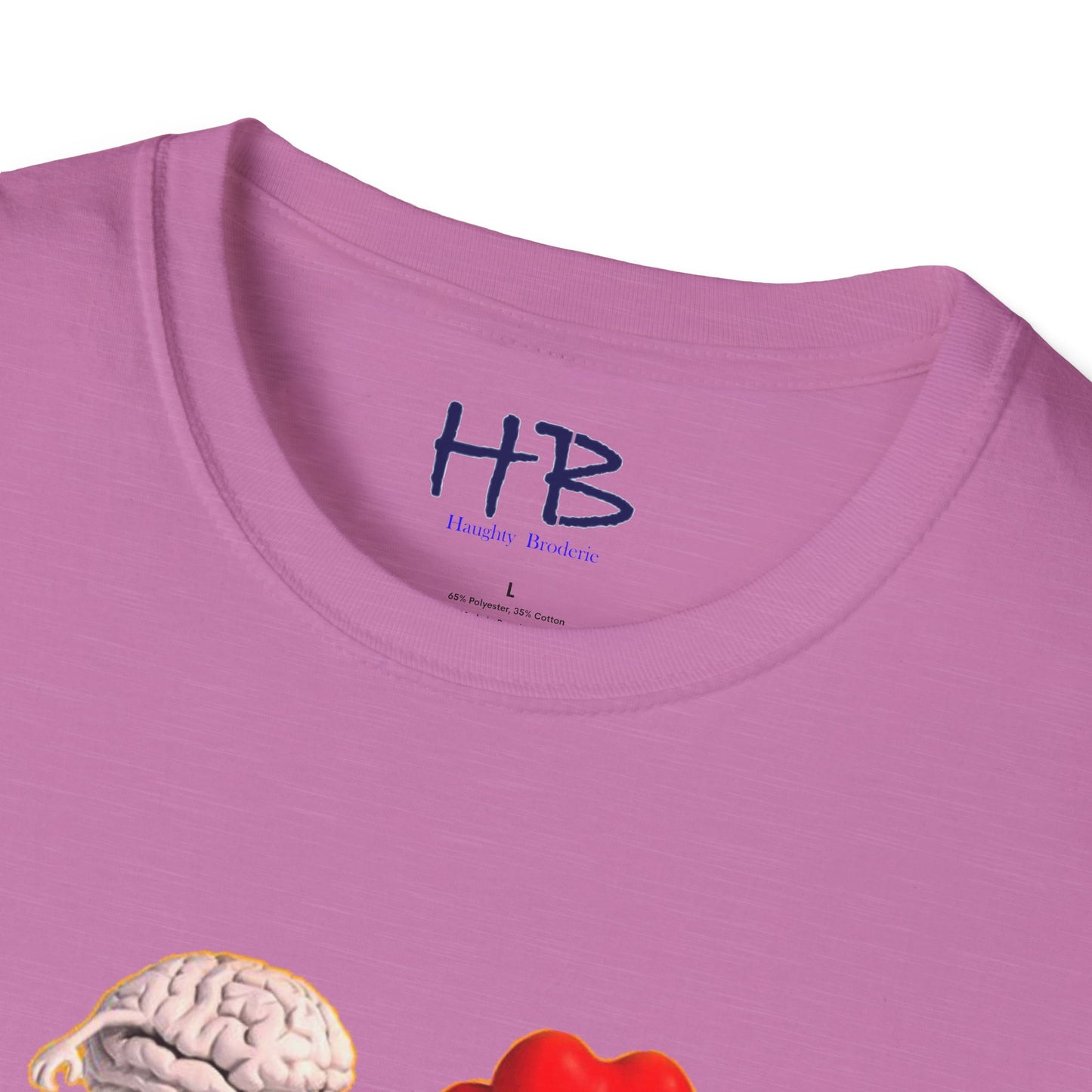 Embracing the Heart-Mind Connection: A Visual Reminder to Follow Your Heart with brain's logic