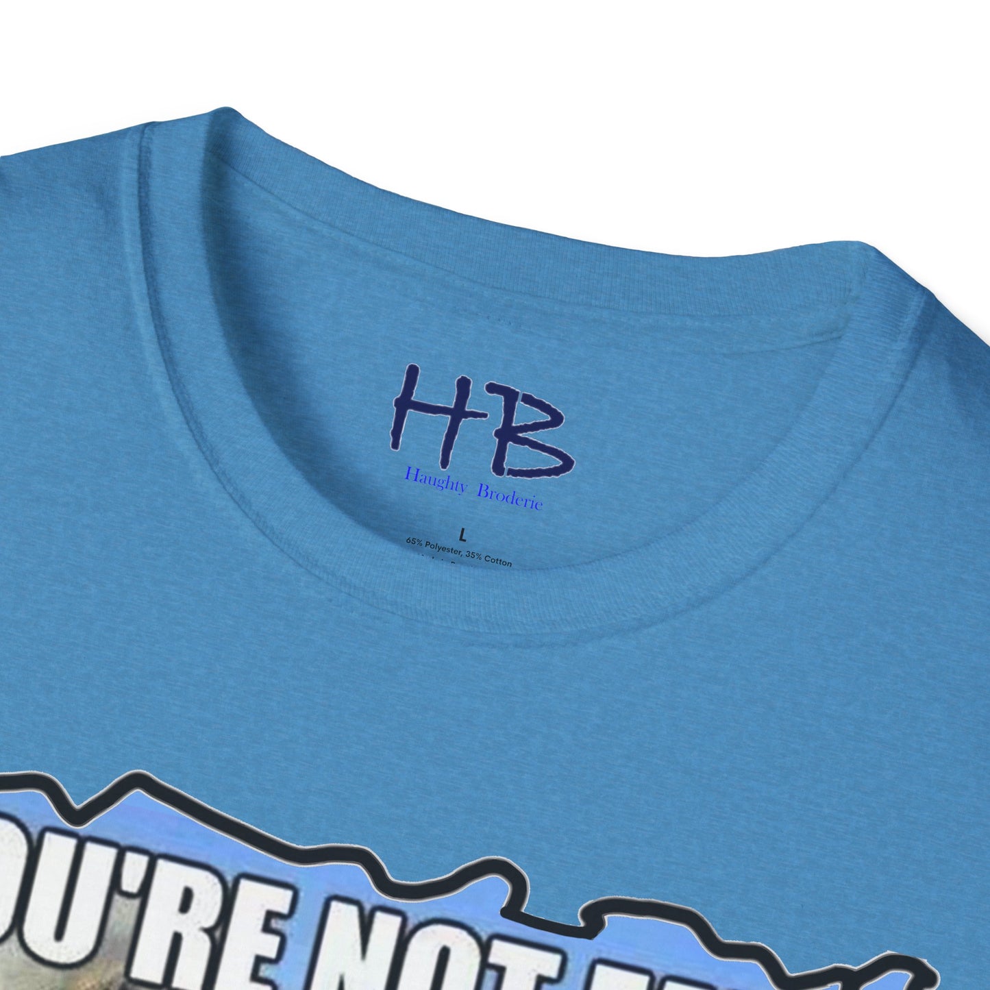 Two chubby husky dogs comforting each other about being husky