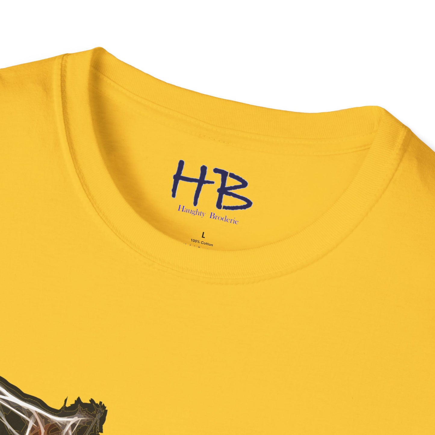 Grace in Motion: Showcasing the Ballet Brisé