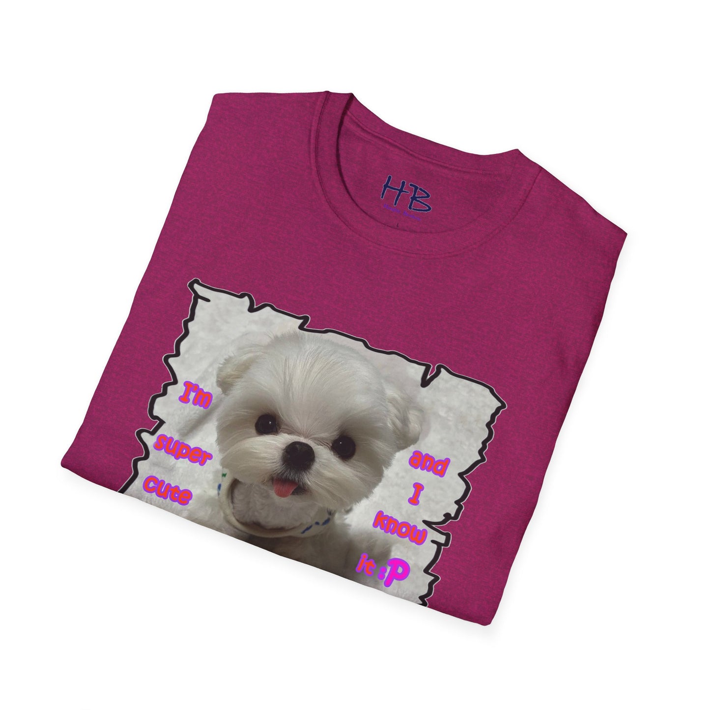 Cutest Bichon Maltese screaming out that it is the "Cutest and it knows it!!!"