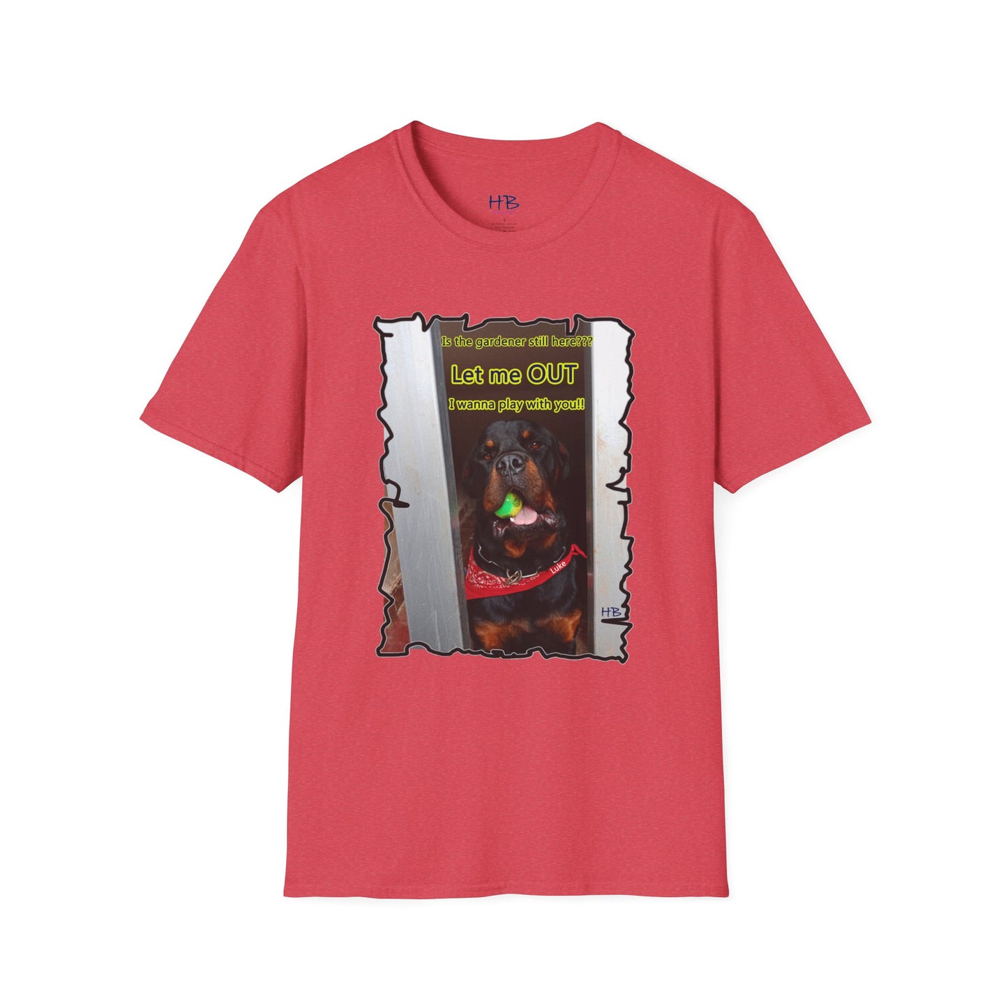 Luke (Male Rottie) with ball begging to play