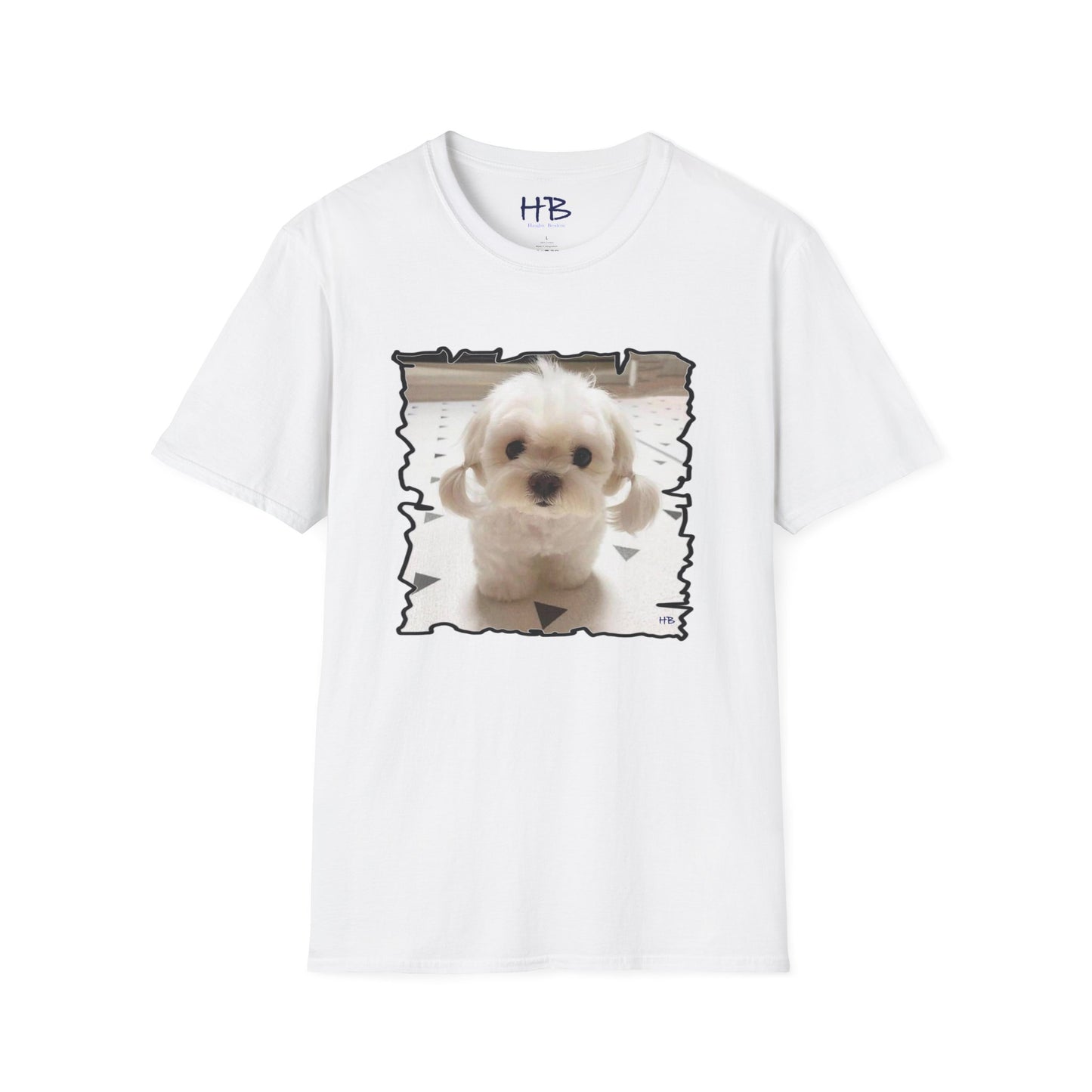 Very cute white Bichon Maltese