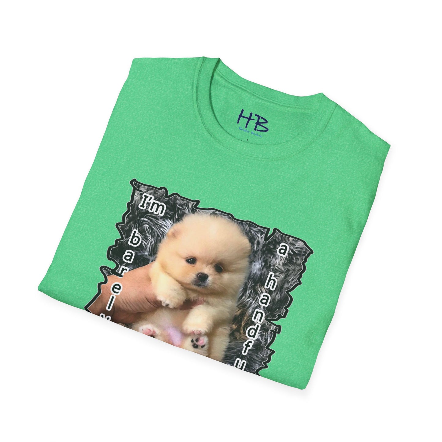 Look at me Im so small and cute Bichon Maltese