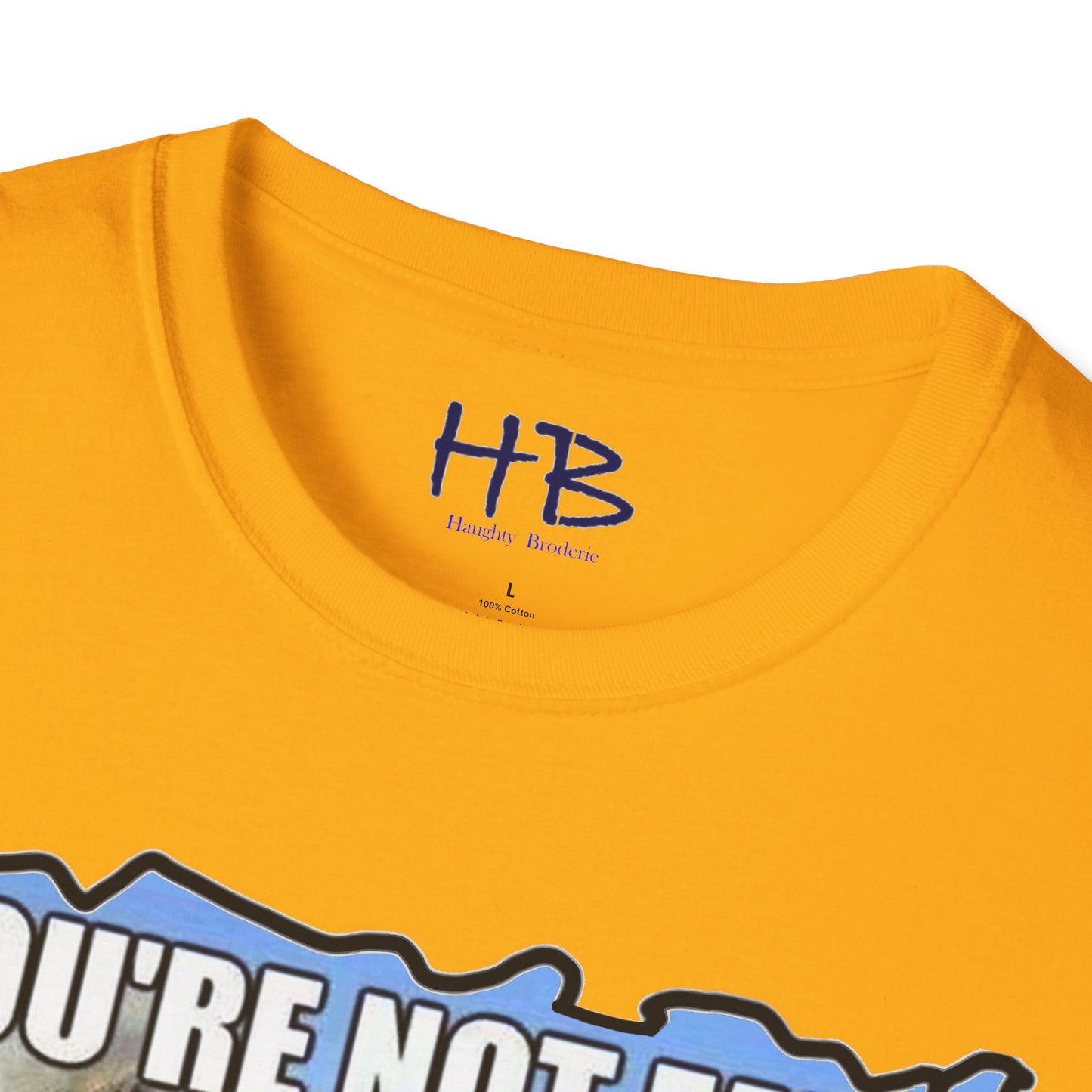 Two chubby husky dogs comforting each other about being husky