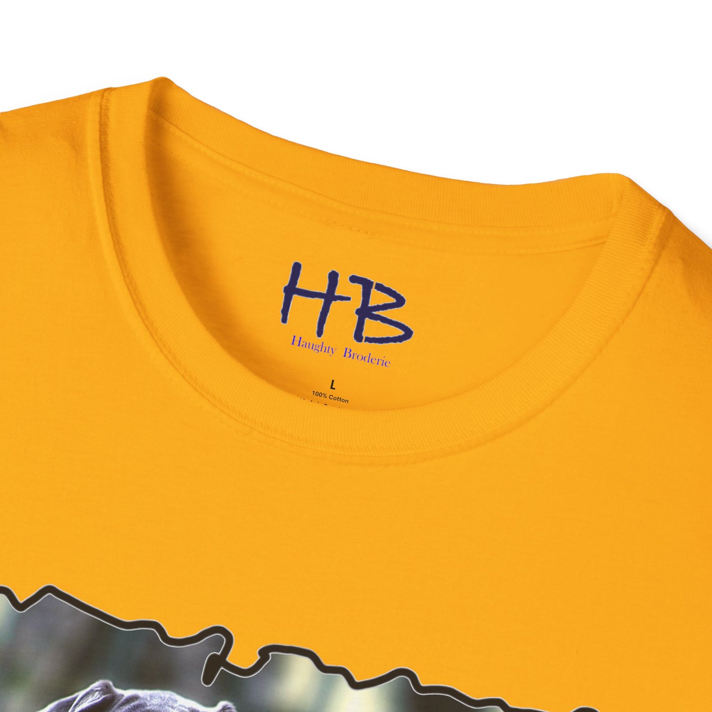 The Inquisitive Great Dane's Astonishment; Expression Captivatingly Curiosity of Amazement