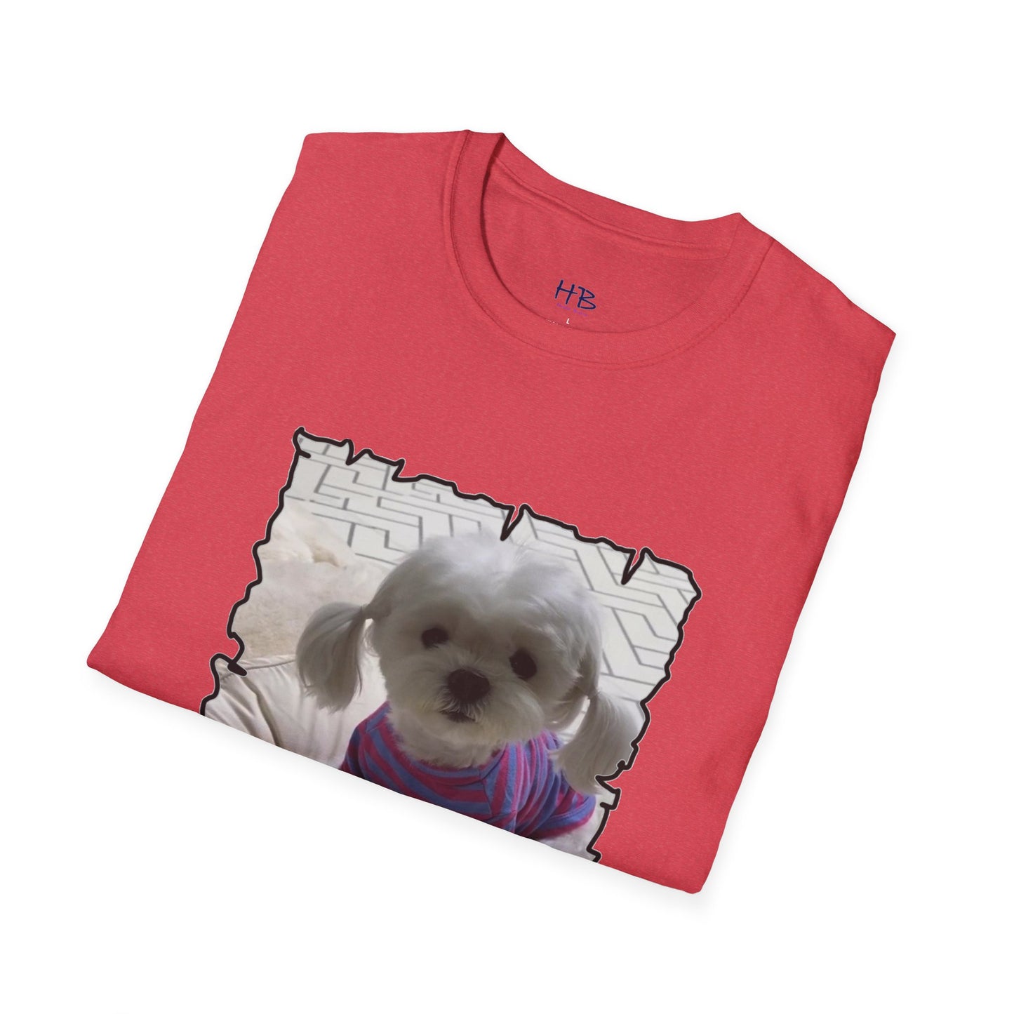 Bichon Maltese extra cute ponytails