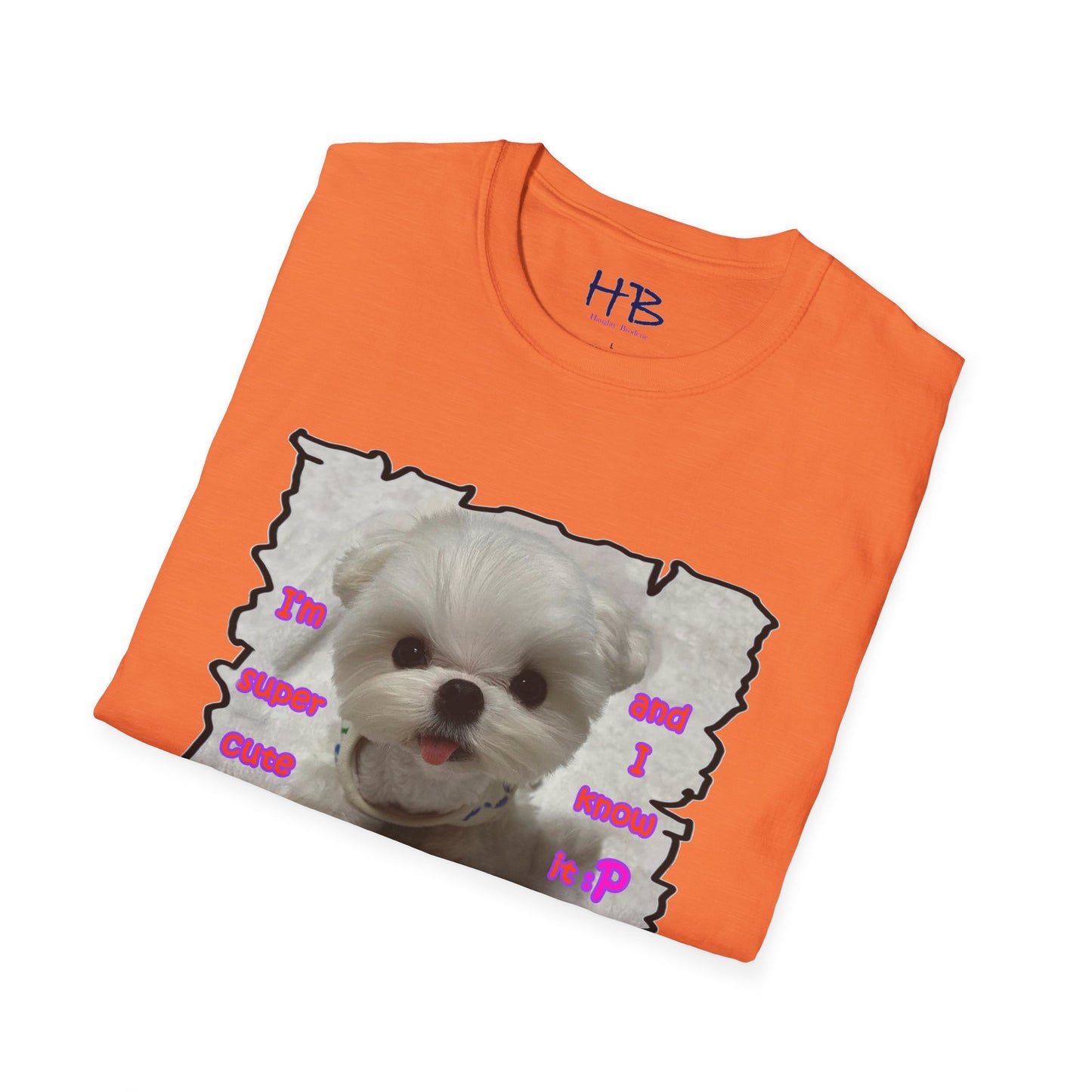 Cutest Bichon Maltese screaming out that it is the "Cutest and it knows it!!!"