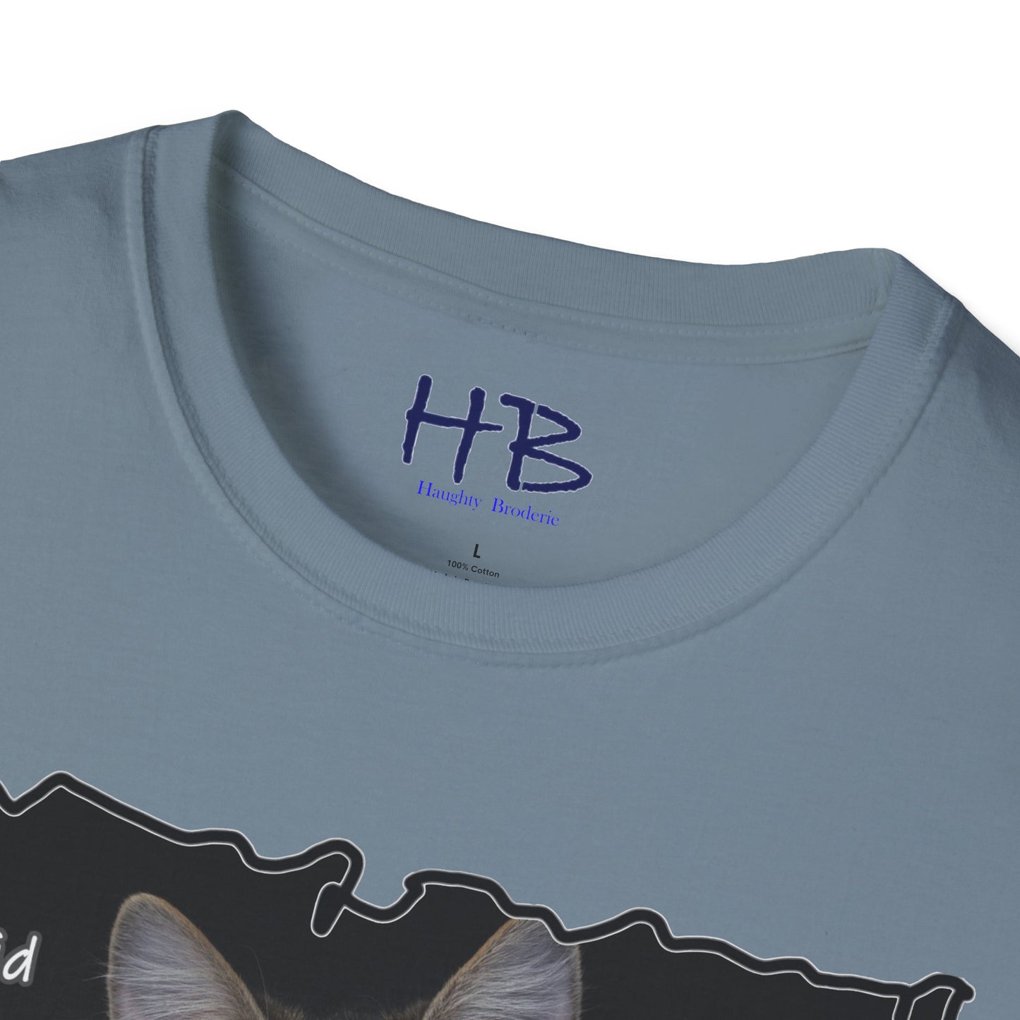 Cat shocked by what you did ""You've got to be kidding me. You did what?!""