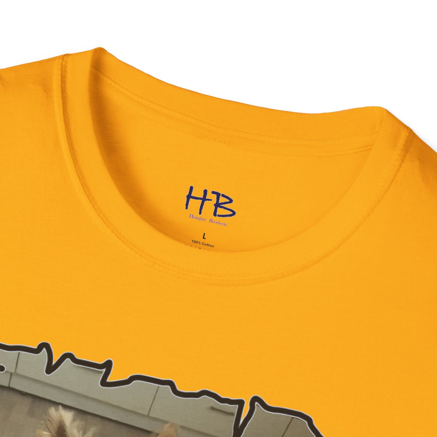 Corail the Yorkshire Toy little baby