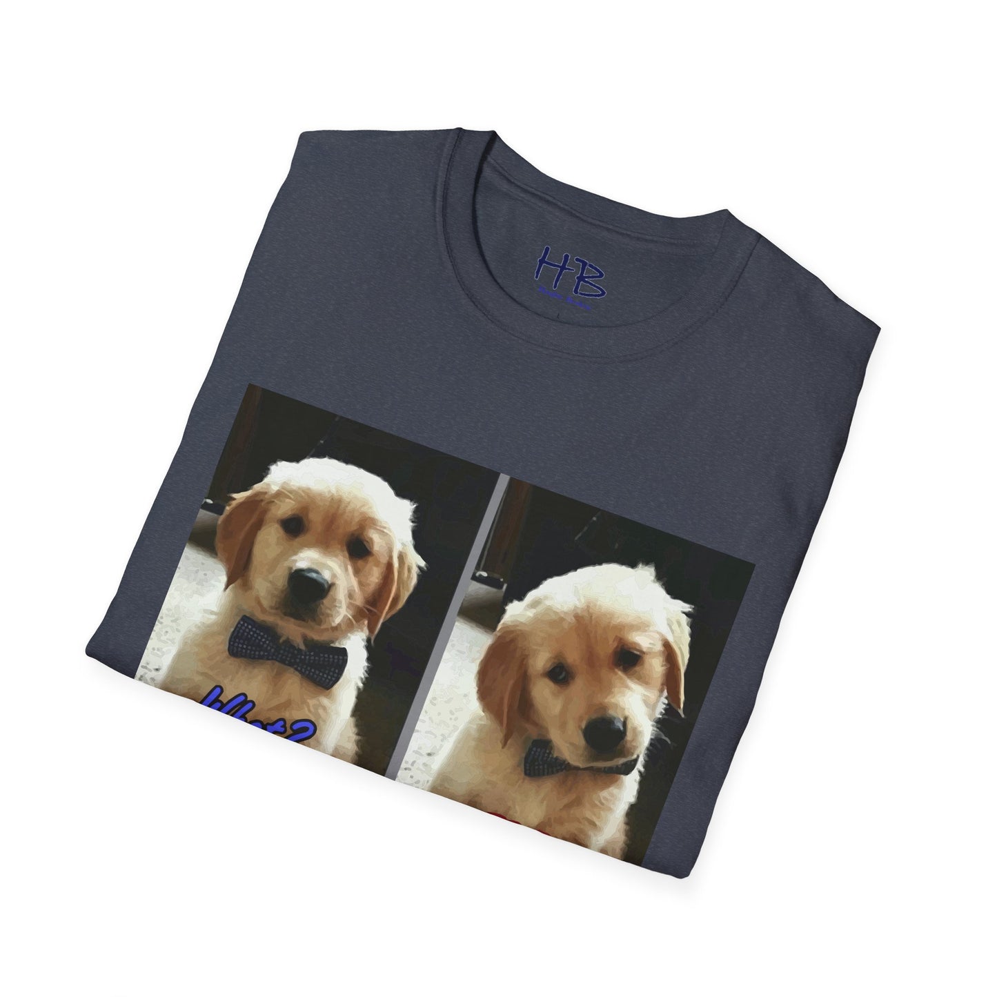 Labbie puppy asking "FOR REAL??????"