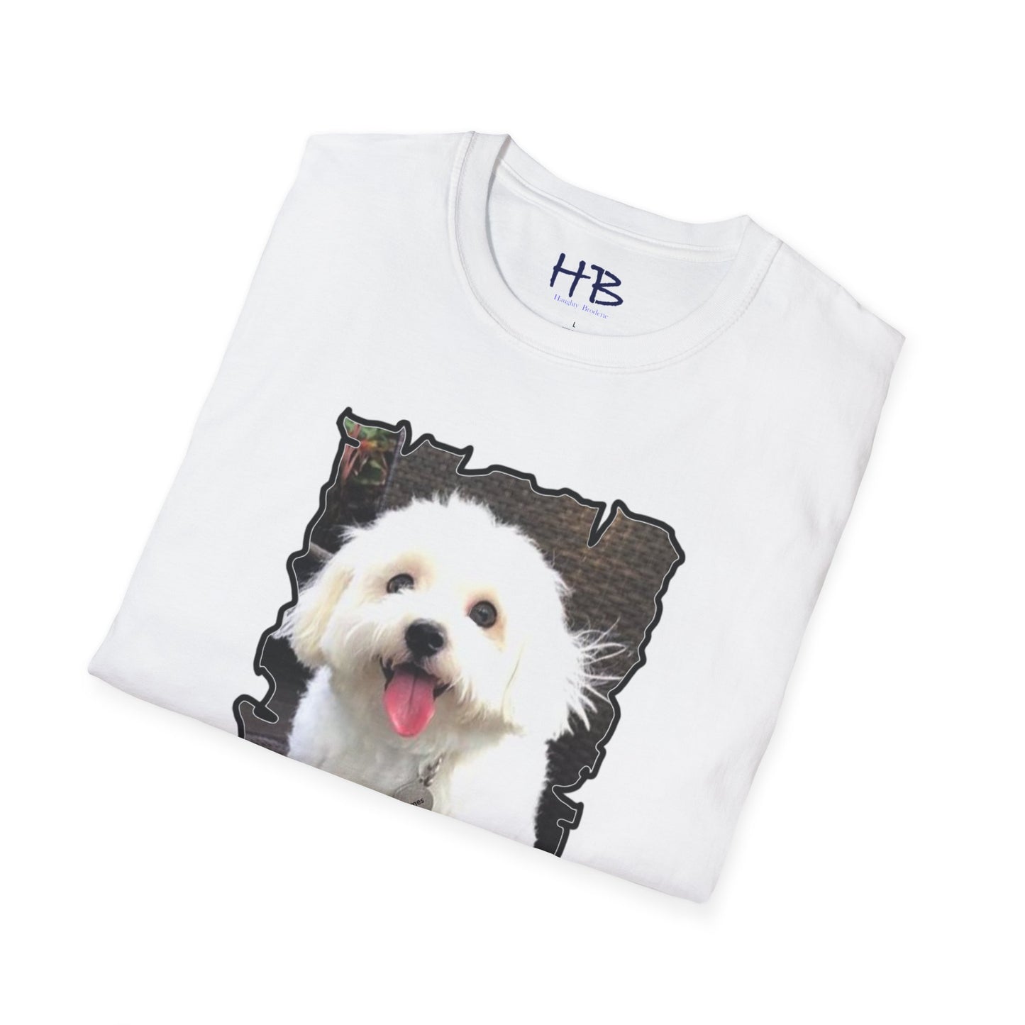 Bichon Malthese - Hermes with big smile and pink tongue