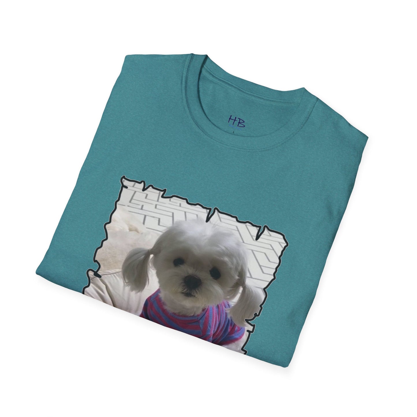 Bichon Maltese extra cute ponytails