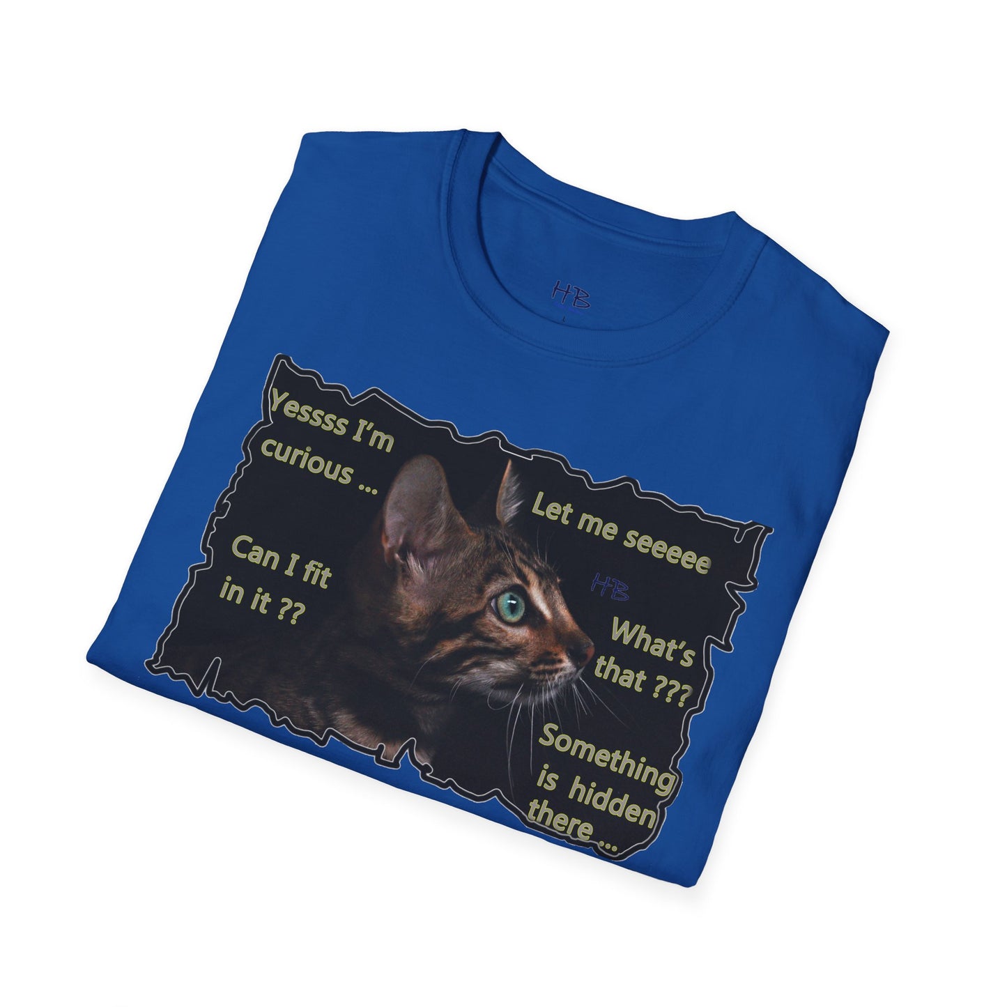 Kitten curiosity and care free