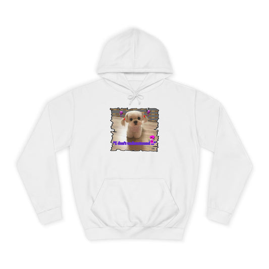Baby Bichon Maltese with cluelessness innocent look "I don't undoustaaaand" (Hoodie - Cozy and Durable)