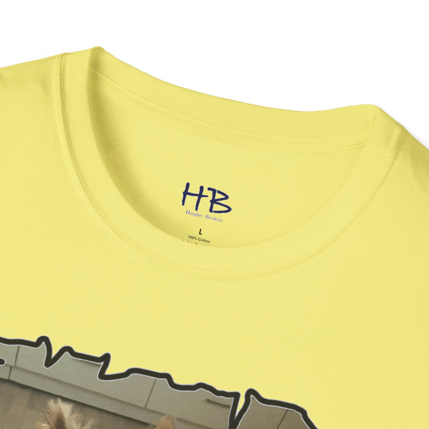 Corail the Yorkshire Toy little baby