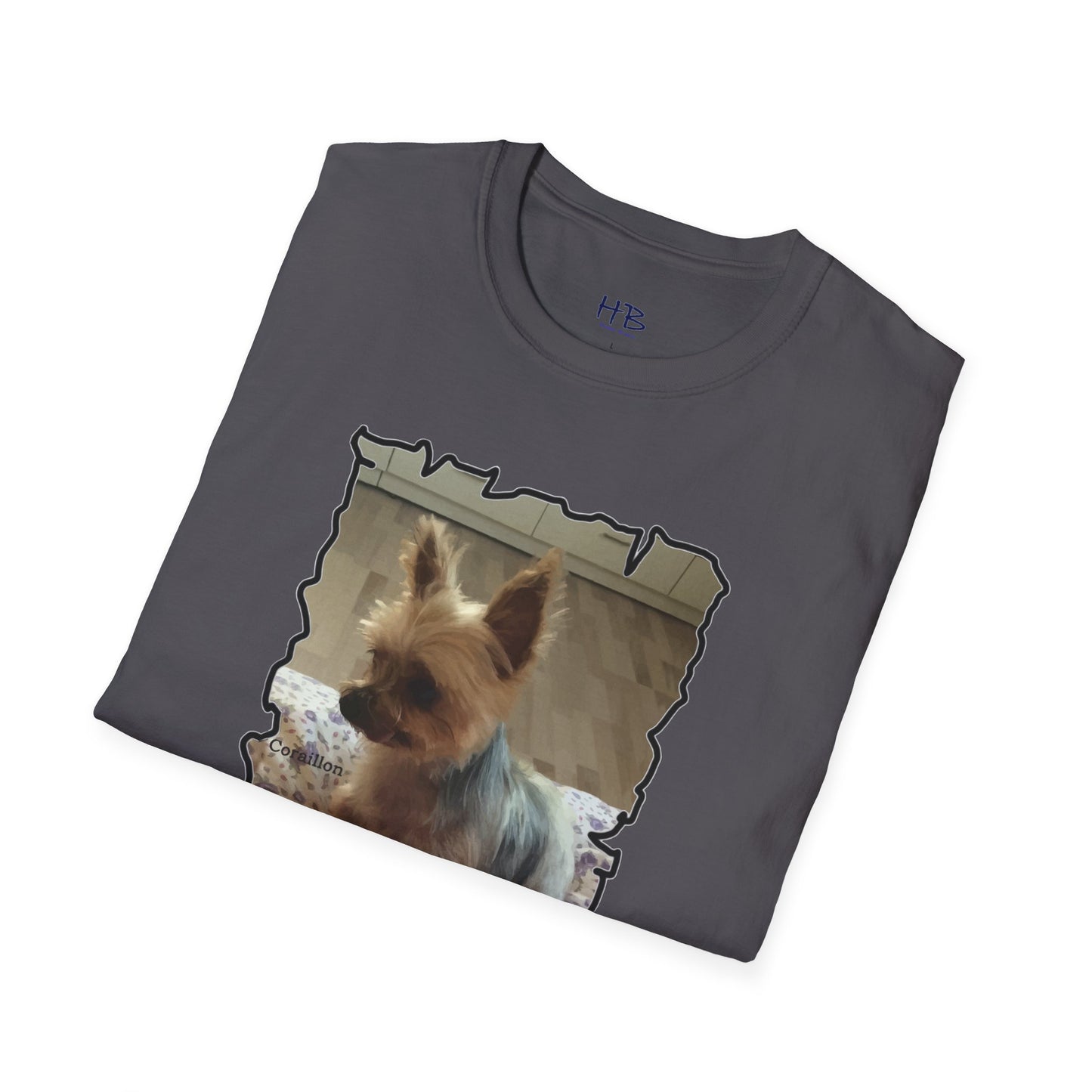 Corail the Yorkshire Toy little baby