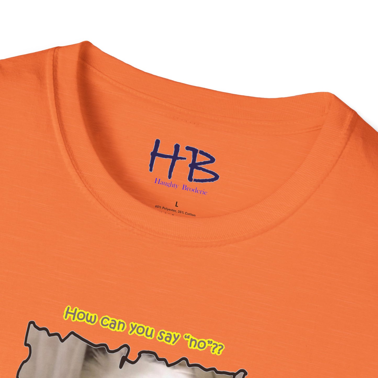 Cutest white Bichon Maltese wanting to play