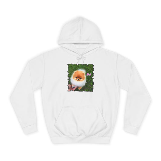 "Hi !!" Tiny adorable Bichon Maltese (Hoodie - Cozy and Durable)