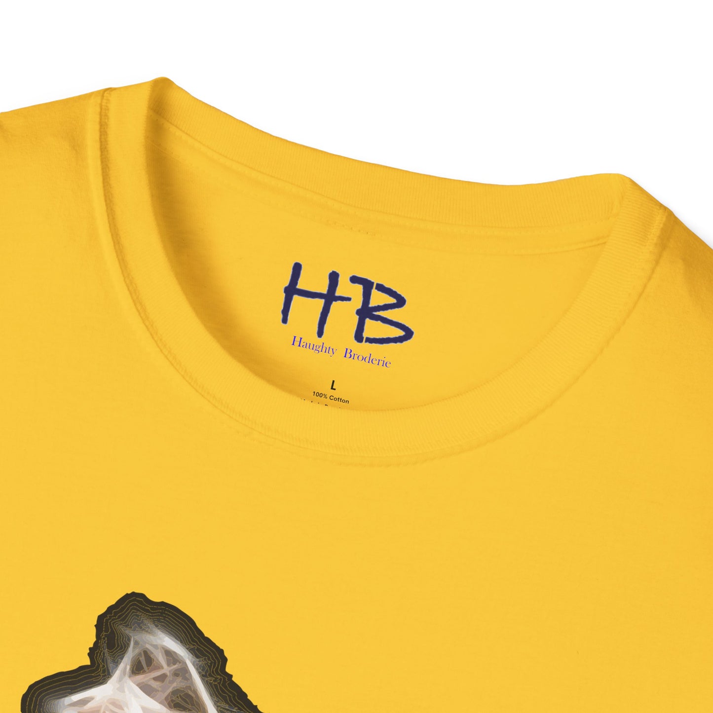 Celebrating Ballet's Artistry Fluid Transitions: The Enchanting Pas de Bourrée