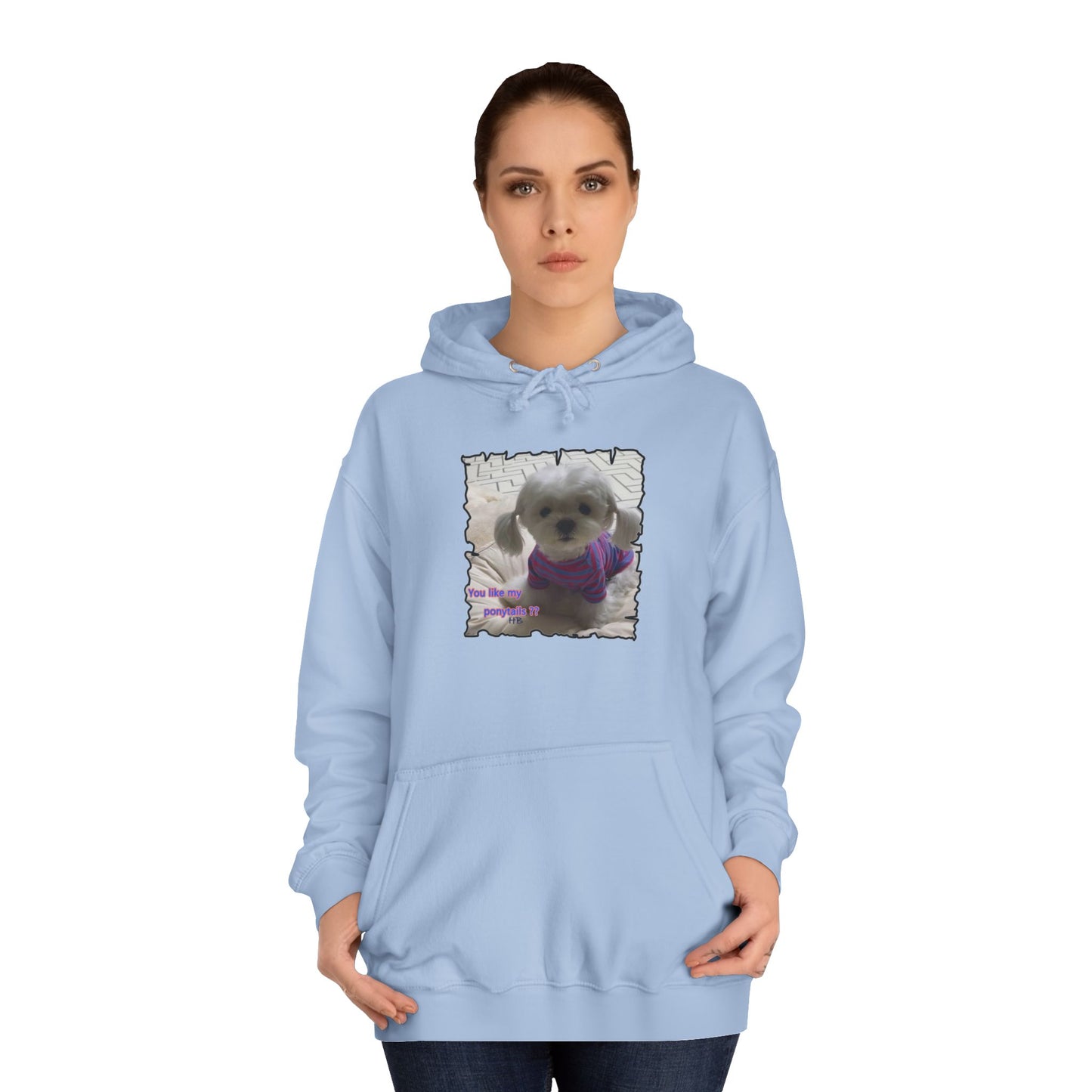 Bichon Maltese extra cute ponytails (Hoodie - Cozy and Durable)