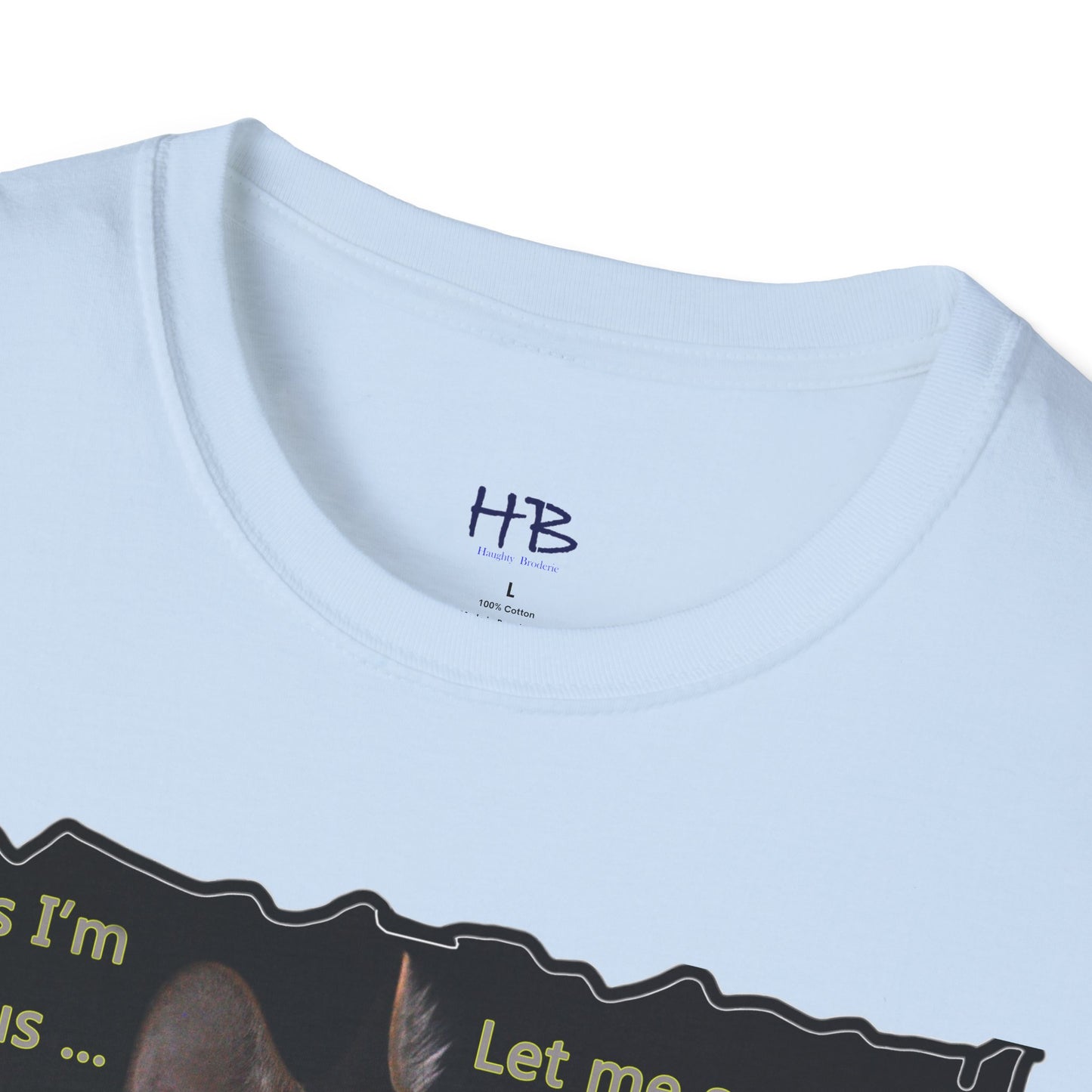 Kitten curiosity and care free