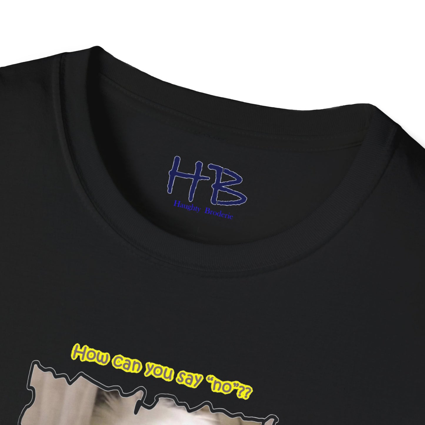 Cutest white Bichon Maltese wanting to play