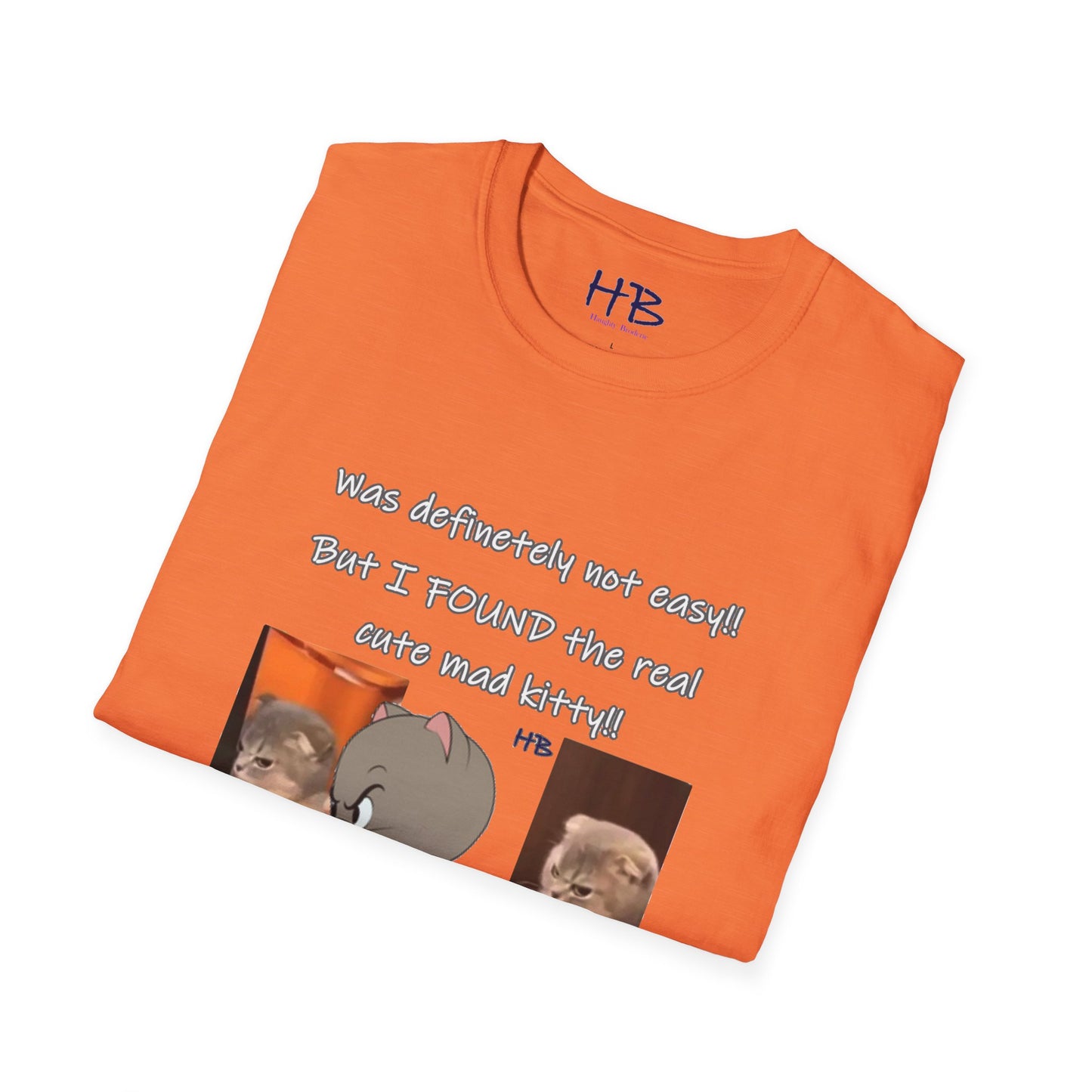 Captivating Adorable Feline Frenzy Nostalgia; Share Smiles and Memories with Your Furry Friend in Fabric Form The Real live kitty