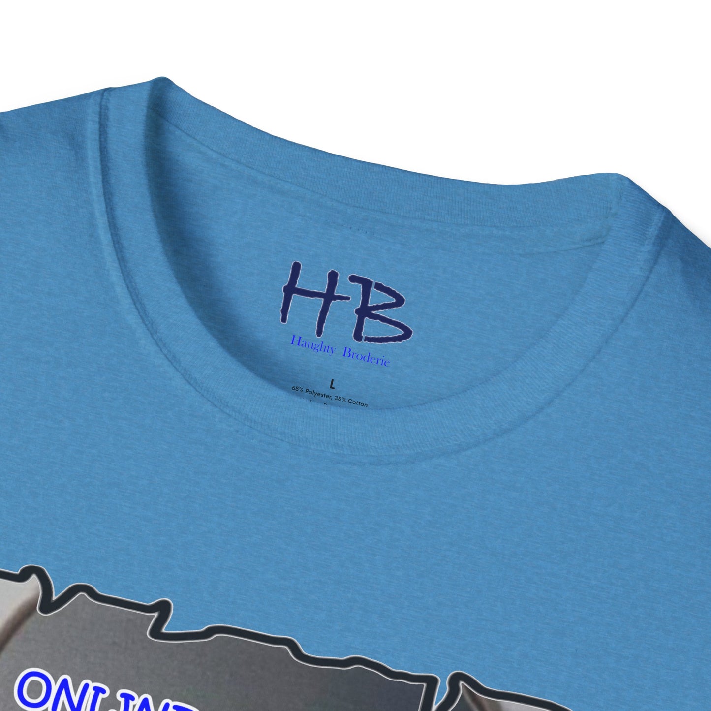 Reflective Message in Metaphorical Apple using Digital Insights with Hidden Realities: Unveiling Digital Realities Unmasking Virtual Facades  Beyond the Screen's Perception