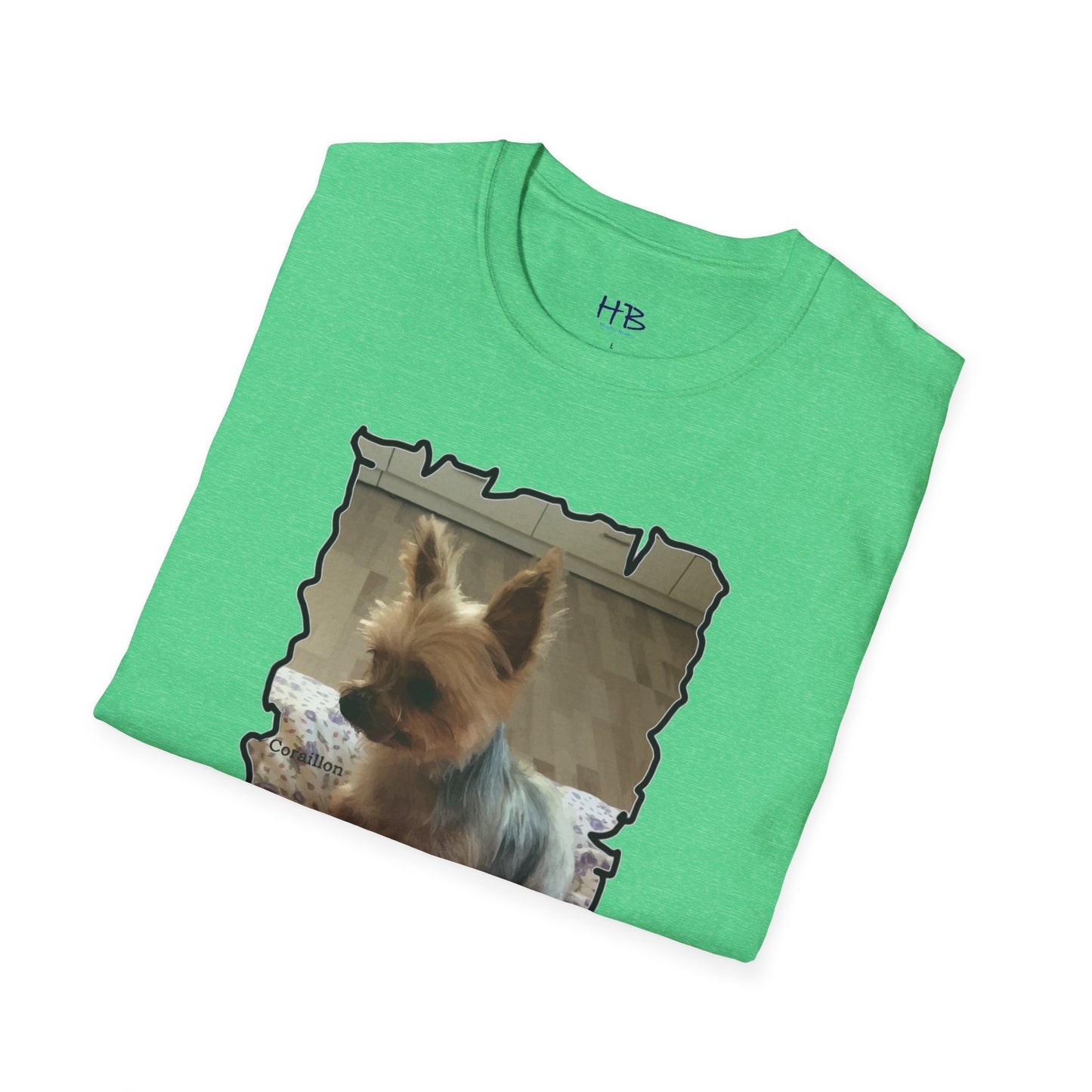 Corail the Yorkshire Toy little baby