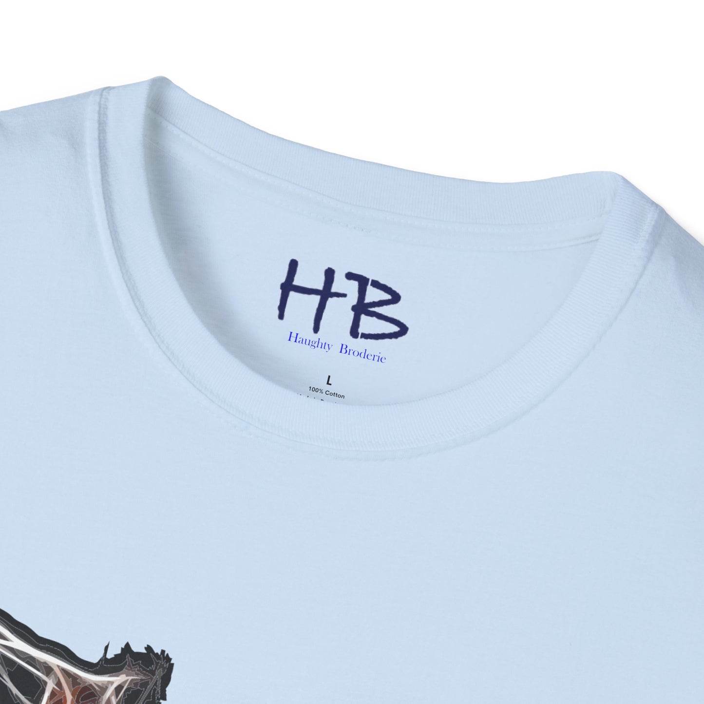 Grace in Motion: Showcasing the Ballet Brisé