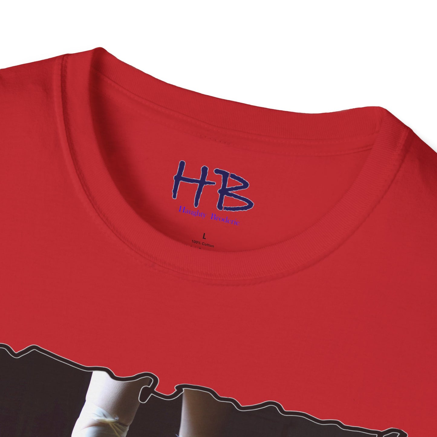 Embracing the Symphony Splendor in Style:  Unleashing Ballet's Charisma