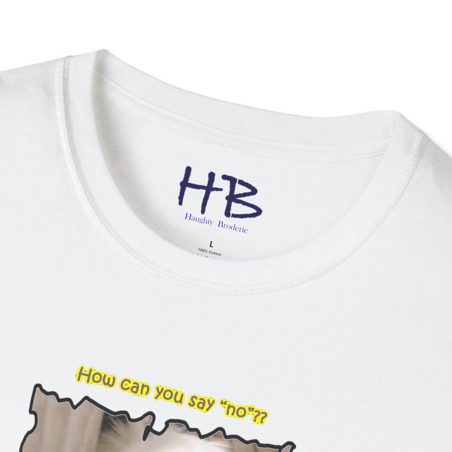 Cutest white Bichon Maltese wanting to play