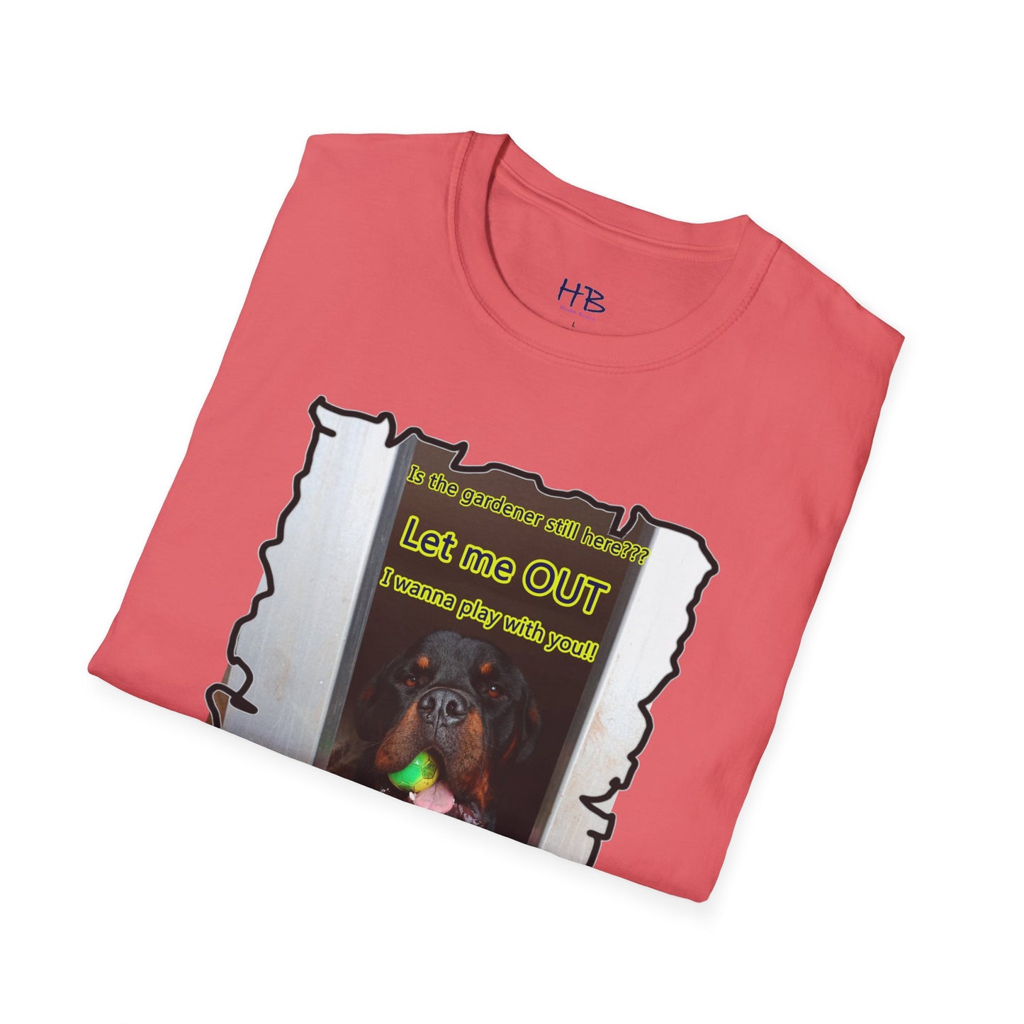 Luke (Male Rottie) with ball begging to play