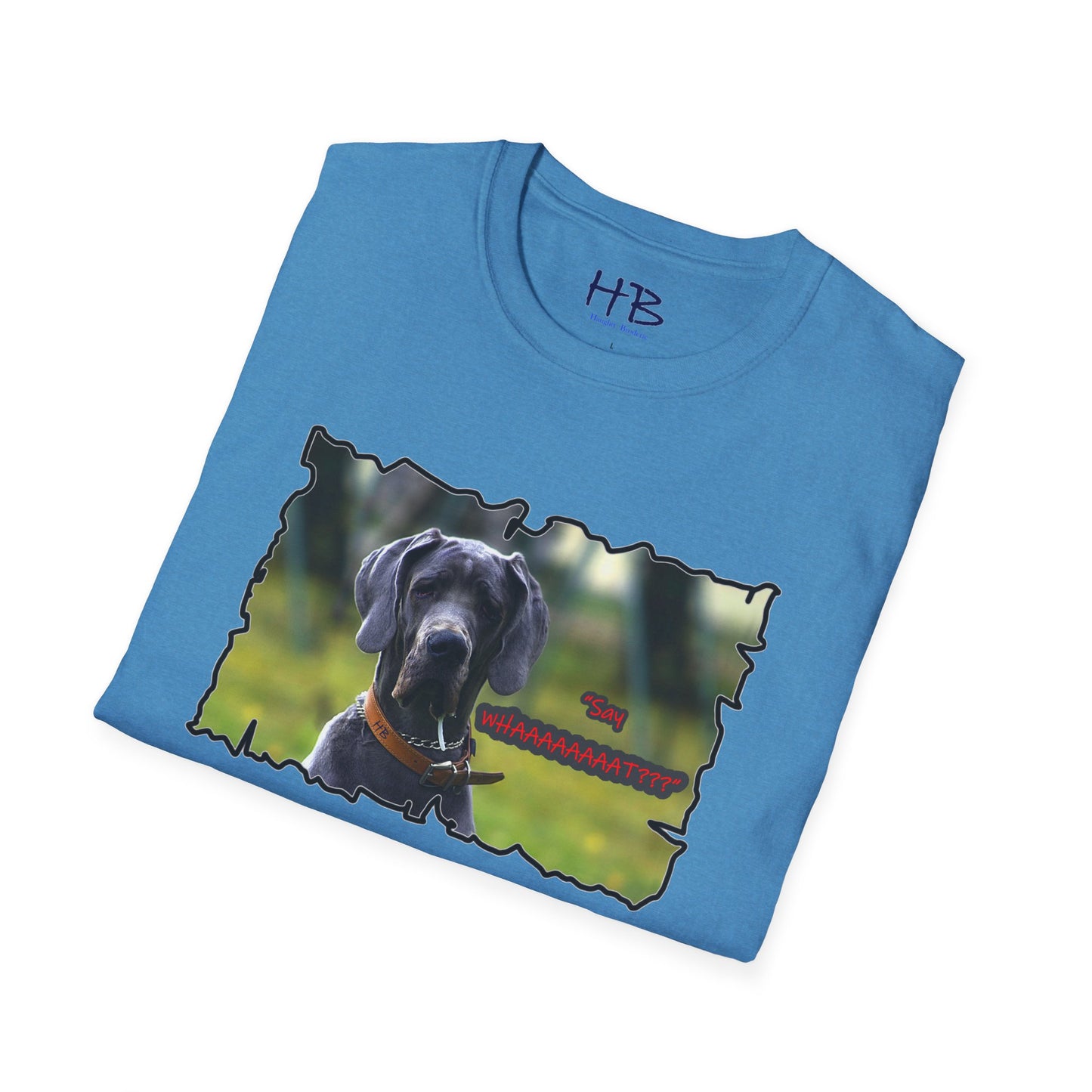 The Inquisitive Great Dane's Astonishment; Expression Captivatingly Curiosity of Amazement