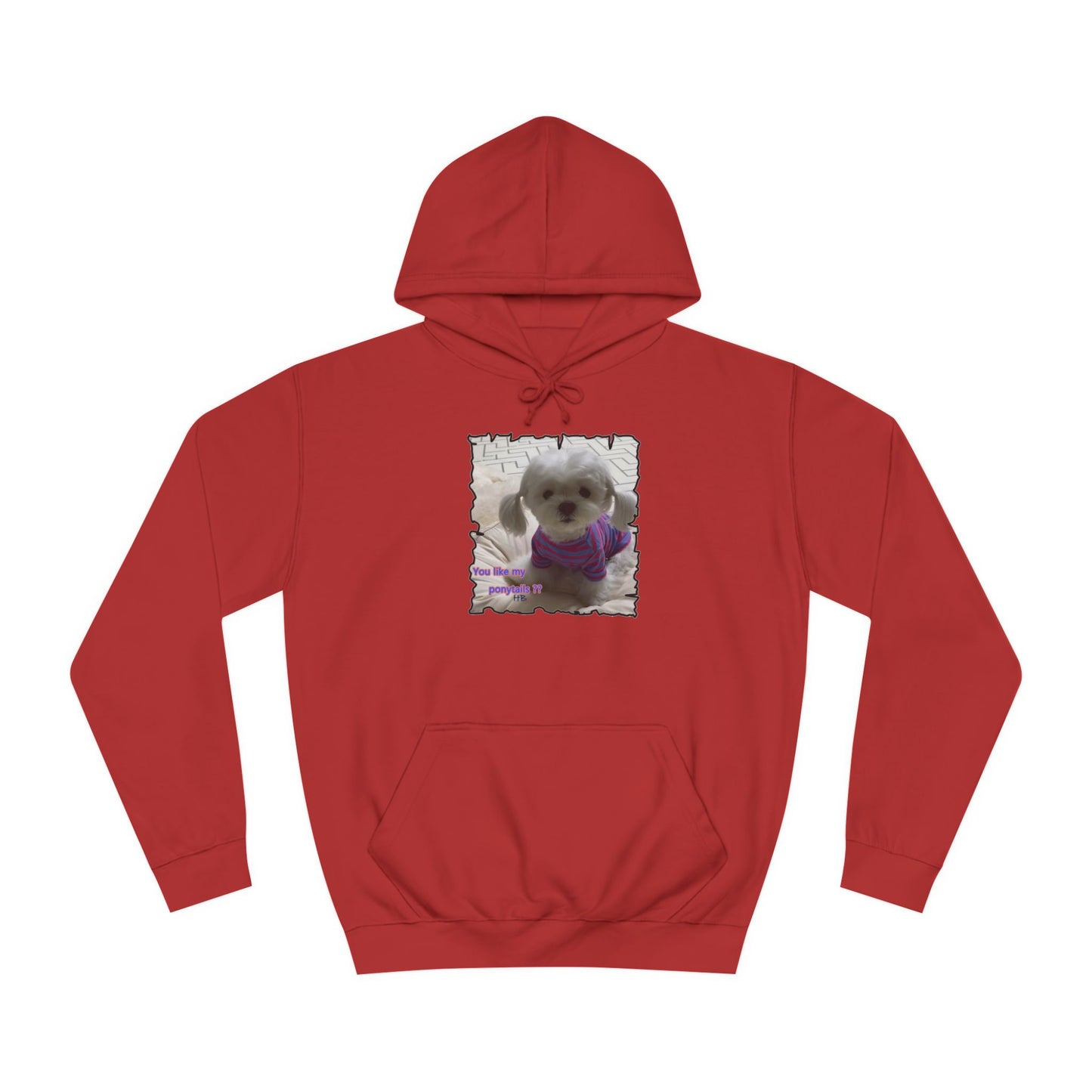 Bichon Maltese extra cute ponytails (Hoodie - Cozy and Durable)