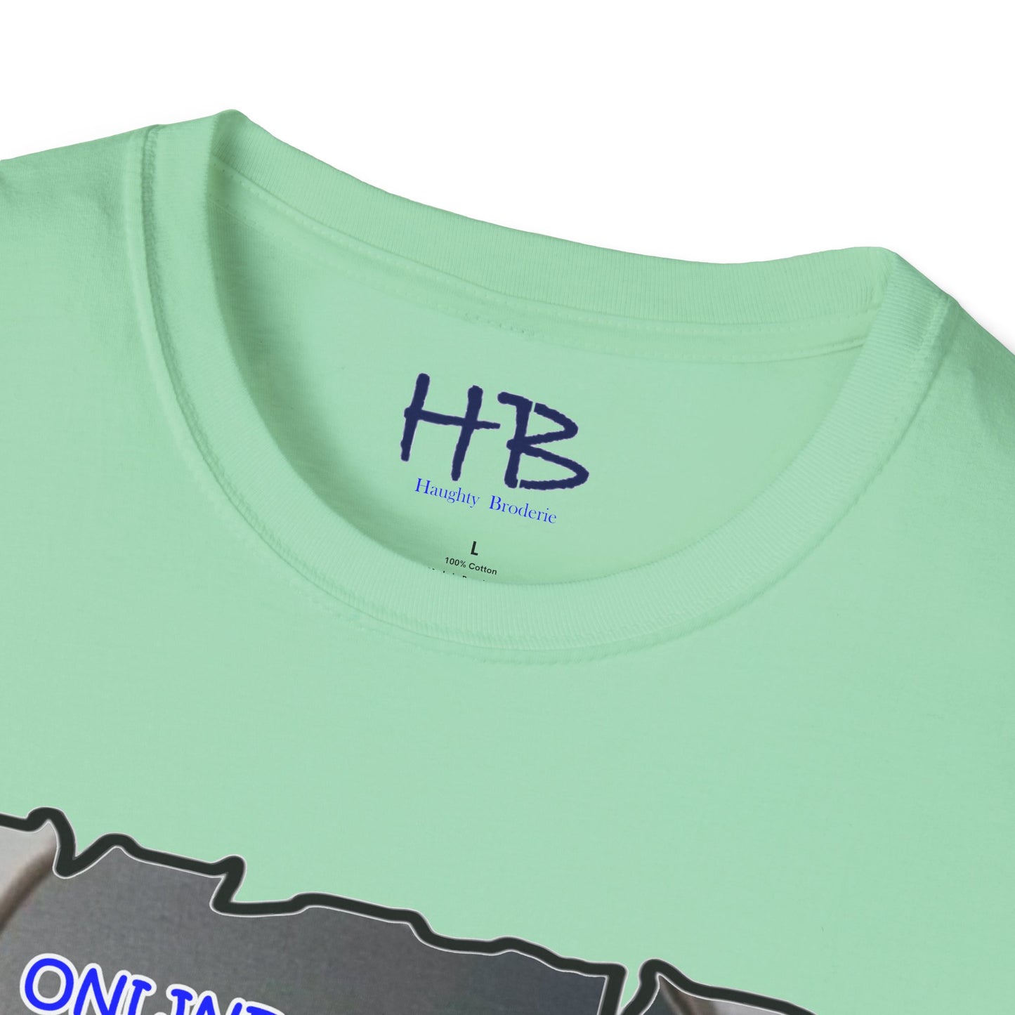 Reflective Message in Metaphorical Apple using Digital Insights with Hidden Realities: Unveiling Digital Realities Unmasking Virtual Facades  Beyond the Screen's Perception