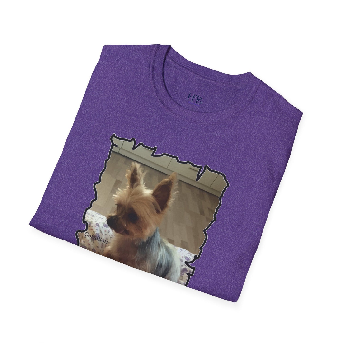 Corail the Yorkshire Toy little baby