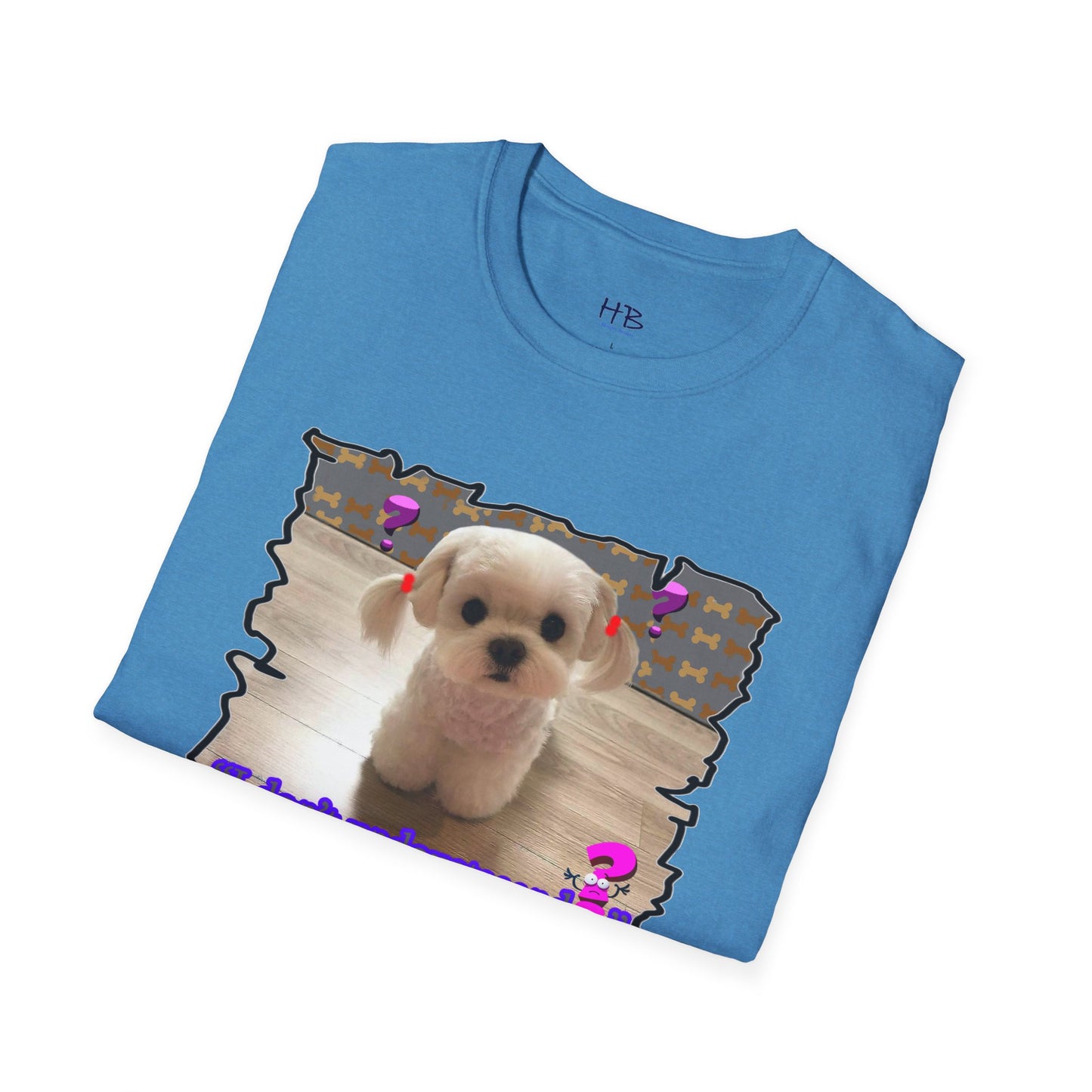 Baby Bichon Maltese with cluelessness innocent look "I don't undoustaaaand"